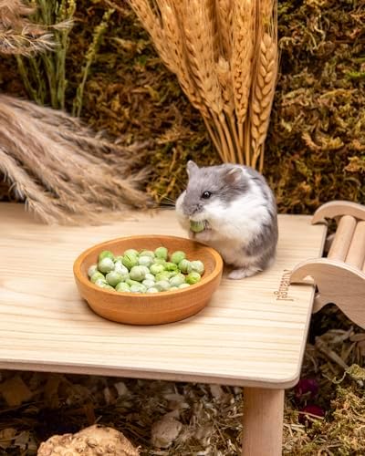 Niteangel Hamster Snack & Treats Toy - Freeze-Dried Pea & No Additive