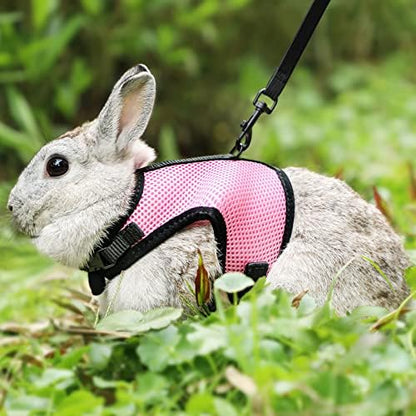 PETTOM Bunny Rabbit Harness with Stretchy Leash Cute Adjustable Buckle Breathable Mesh Vest for Kitten Small Pets Walking (Pink,XS)