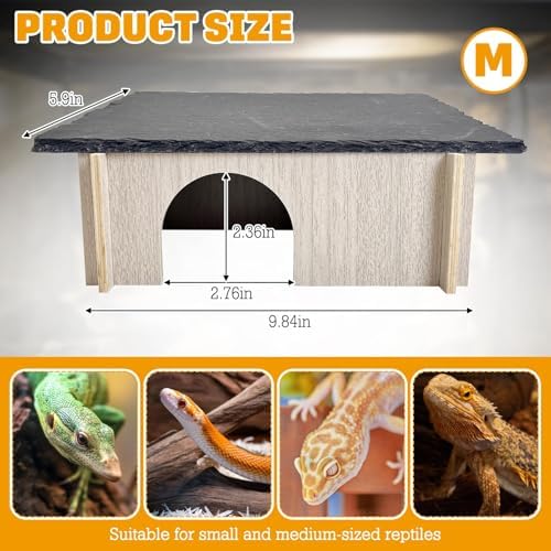 PINVNBY Bearded Dragon Basking Platform, Wood Reptile Hides and Caves, Crested Gecko Hide with Slate Rock, Leopard Gecko Tank Accessories for Small Lizard Snake (M: 9.84x5.9x2.76 inches)