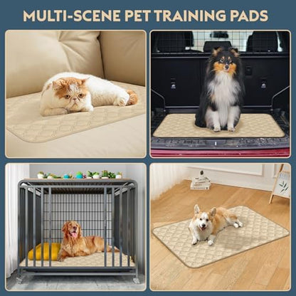 FunFurry Washable Pee Pads for Dogs - 1 Pack Reusable Pee Pads，Waterproof Puppy Pads，Pet Training Pads，Super Absorbent with Dog Paw Shape Non-Slip Backing (Cream, 48" X 65" - 1 Pack)
