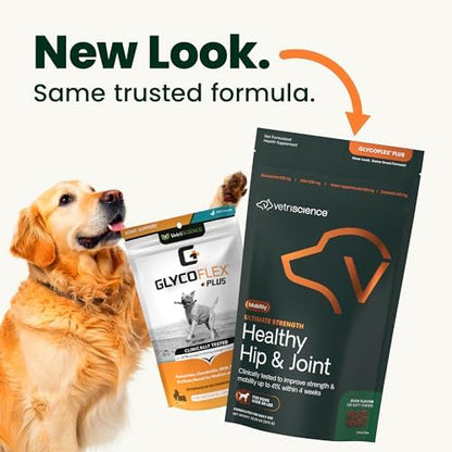 VetriScience Ultimate Strength Healthy Hip & Joint Chews, GlycoFlex Glucosamine, Chondroitin & GreenLipped Mussel Support Supplement for Dogs, Soothe Joint Discomfort, Duck,120 Ct (Pack of 2)
