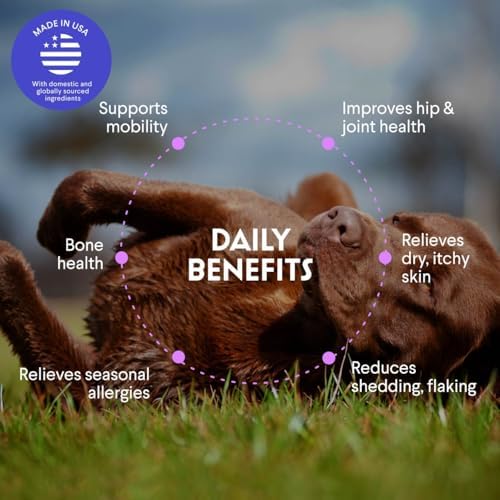 Premium Salmon Oil for Dogs– Pure Norwegian Salmon Oil High in Omega 3 EPA & DHA -Powerful Fish Oil for Dogs Skin & Coat, Hip & Joints, Allergies & Itchy Skin – Omega 3 Fish Oil for Dogs-128oz Liquid