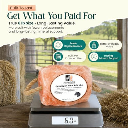 Himalayan Pink Salt Lick On Rope 6lbs for Horses, Deer, Goats & Livestock, Natural Mineral Salt Block with 84 Trace Minerals, Hanging Horse Salt Lick for Farm Animals & Wildlife (Pack of 3)