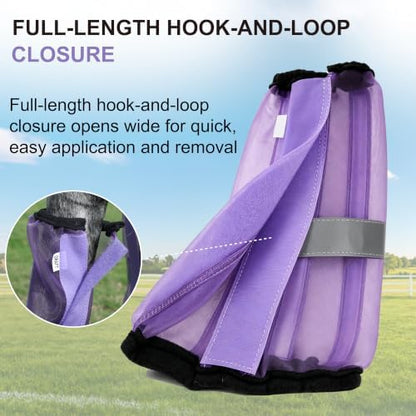 Horse Fly Boots Set of 4, Breathable Mesh Leg Wraps Violet Draft