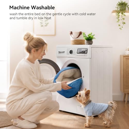 Asvin Small Dog Bed for Small Dogs, Cat Beds for Indoor Cats, Pet Bed for Puppy and Kitty, Extra Soft & Machine Washable with Anti-Slip & Water-Resistant Oxford Bottom, Light Blue, 20 inches