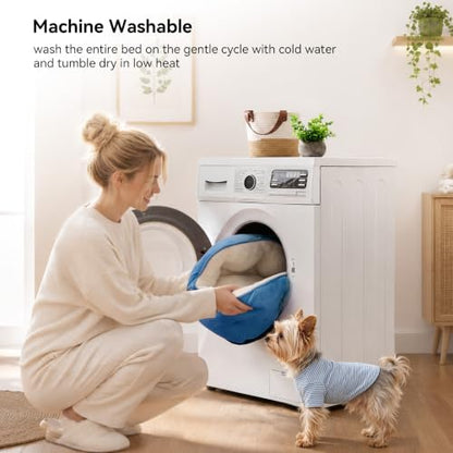 Asvin Small Dog Bed for Small Dogs, Cat Beds for Indoor Cats, Pet Bed for Puppy and Kitty, Extra Soft & Machine Washable with Anti-Slip & Water-Resistant Oxford Bottom, Light Blue, 20 inches