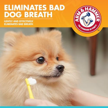 Arm & Hammer Tartar Control Dental Mints for Dogs, Beef, 40 Ct, 60-Pk