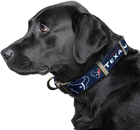 Littlearth NFL Detroit Lions Pet Premium Collar, Team Color, Small