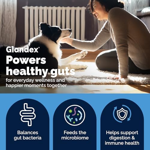 Vetnique Glandex Probiotics for Dogs 60ct Soft Chews, Prebiotics & Enzymes