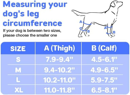 RUXAN Dog Knee Brace for Torn ACL & Hind Leg Support, Keeps The Joint Warm and Stable, Dogs Rear Leg Wrap Harness Set for Leg Wound Care and Lick Prevention - S