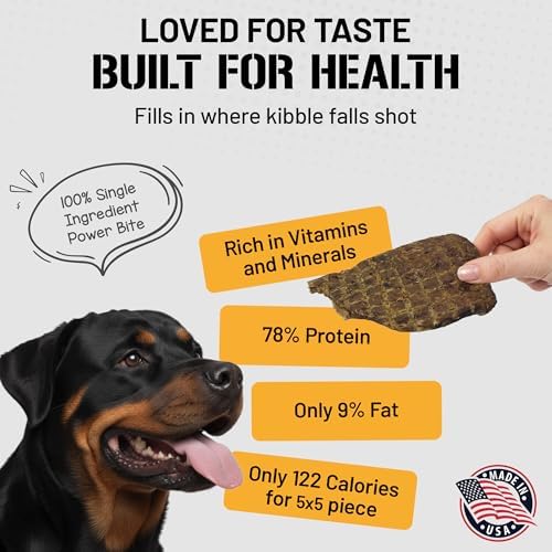 Dog Chits Beef Lung Fillets Dog and Puppy Treats – All Natural Chews for Dogs – Grain-Free, High-Protein, Low Fat Single Ingredient Dog Treat – Ideal for All Dogs – Large, 5 oz – Made in USA