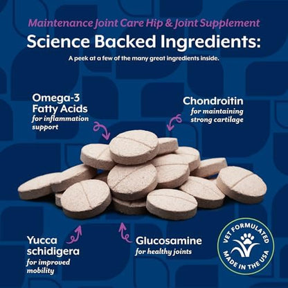 NaturVet Maintenance Hip & Joint Care with Chondroitin, Dogs & Cats, 60ct