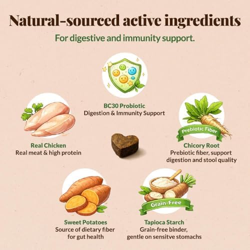 Get Naked Biteables Daily Soft Dog Treats for Digestive Health, Made with Real Chicken and Rice Flour for Easy Digestion, Functional Soft Chews for Dogs, Grain-Free, 6oz