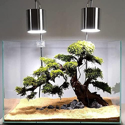 Allcolor Low Iron Glass Ultra Clear Rimless Aquarium Tank (10GaI)