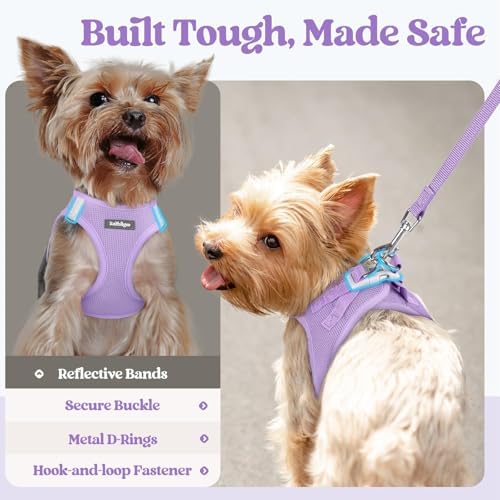 rabbitgoo Dog Harness Medium Sized and Leash Set, Step-in Puppy Pet Vest