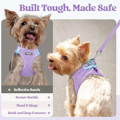 rabbitgoo Dog Harness Medium Sized and Leash Set, Step-in Puppy Pet Vest