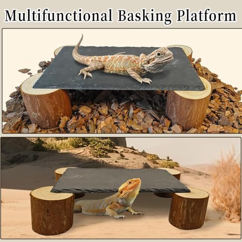 Bearded Dragon Basking Platform,Reptile Slate Basking Rock,Large