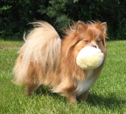 Real Sheepskin Snuggle Ball for Dogs