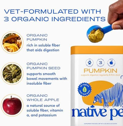 Native Pet Pumpkin for Dogs - Organic Dog Food Topper Powder - Promotes Firm Stools, Supports Digestive, Bowel Health & Nutrient Absorption - USDA Organic, Rich in Fiber with Real Pumpkin - 120 Scoops