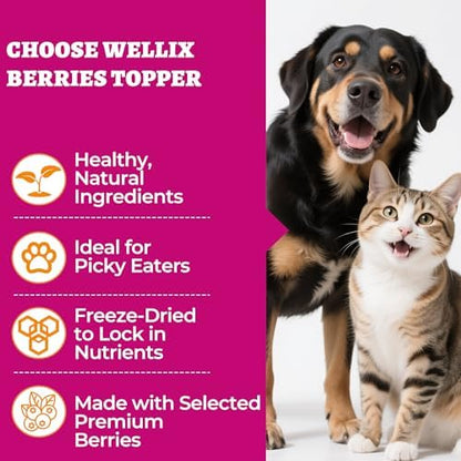 Wellix Freeze Dried Cat & Dog Treats with 3 Berries, 7.05oz