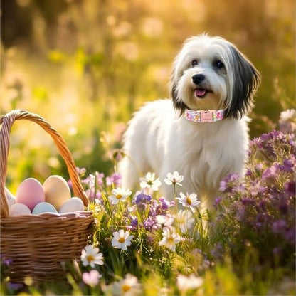 Easter Dog Collar, Colorful Bunny Easter Collars for Medium Dogs, Cute Spring Boy Girl Dog Collars, Adjustable Heavy Duty Holiday Pet Collar with Metal Buckle M