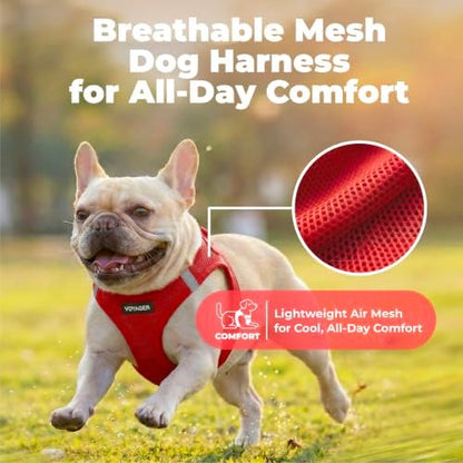 Voyager Step-in Air Dog Vest Harness - Red, XXX-Small