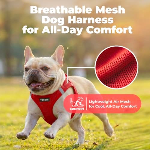 Voyager Step-in Air Dog Vest Harness - Red, XX-Small