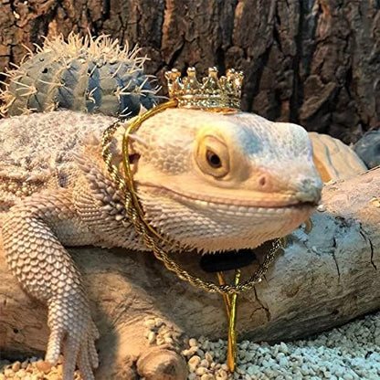 2Pcs Lizard Crown Necklace Set Metal Lizard Outfit Reptile Clothes Accessories Lizard Photo Props for Bearded Dragons Iguana Amphibians and Other Small Animals (Gold)