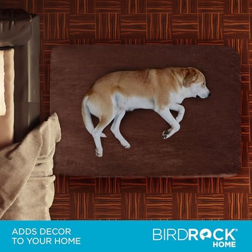 BIRDROCK HOME 2" Memory Foam Dog Beds | Ultra Soft Plush Pet Bed | Removable Cover | Pet | Crate Bed (40 X 26, Brown)