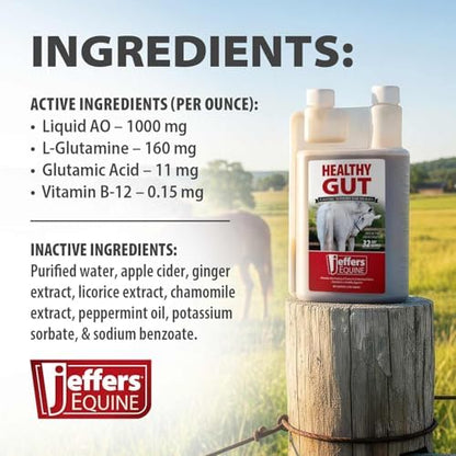 Jeffers Healthy Gut Horse Gastric Support – Liquid Digestive Supplement for Horses Prone to Ulcers, Easy to Feed Formula, Supports Gut Comfort & Balanced Digestion – 32 oz (32 Day Supply)