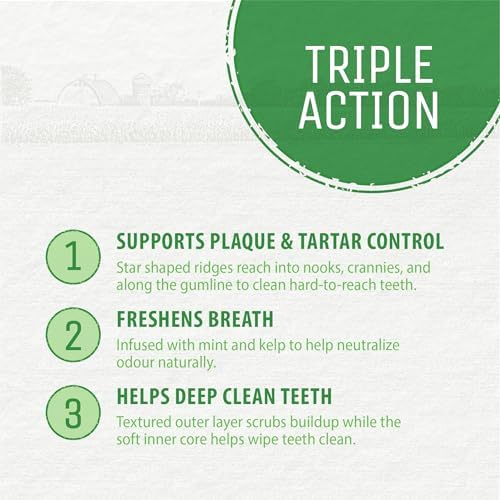 Plaque Busters Dental Sticks Triple Action Natural Mint Flavour, 8.3 oz, Dog Treat