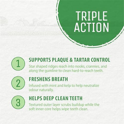 Plaque Busters Dental Sticks Triple Action Natural Mint Flavour, 8.3 oz, Dog Treat