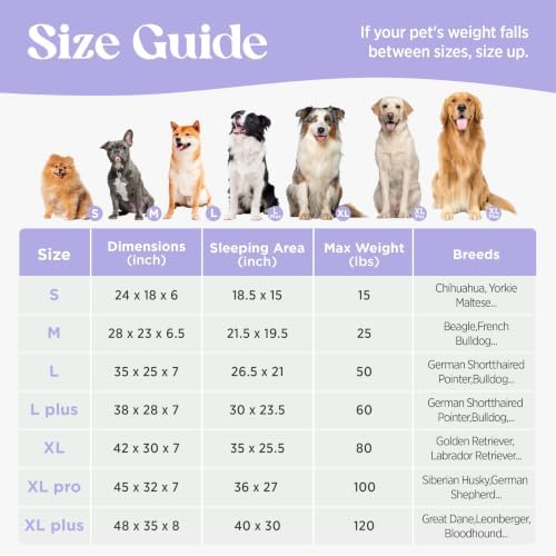LE SURE Cute Cozy High Back Orthopedic L Plus Dog Bed,38" Hazel