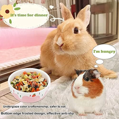 2 Pcs Hamster Ceramic Bowl, Small Animals Anti-Turning Food Water Bowl for Rabbit Hamster Guinea Pig Hedgehog Squirrel (Pink and Red)
