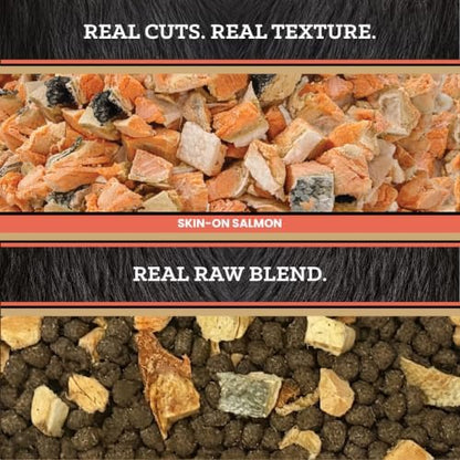 VICTOR Raw Kibble Blend - Salmon Freeze-Dried Dry Dog Food, 20 lb