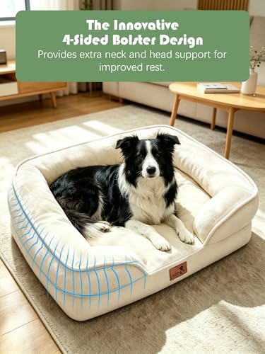 Spotted Play Orthopedic Dog Bed with Sides - Sofa Beds for Large Dogs, Supportive Foam Pet Couch Bed with Washable Removable Cover, Waterproof Lining and Non-Slip Bottom, Ivory - L