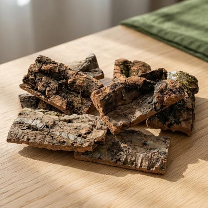 NUOBESTY 8 Pack Cork Bark for Reptile Hides and Terrarium Decorations