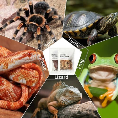 70Pcs Leaf Litter for Reptiles Indian Almond & Longan leaves Substrate