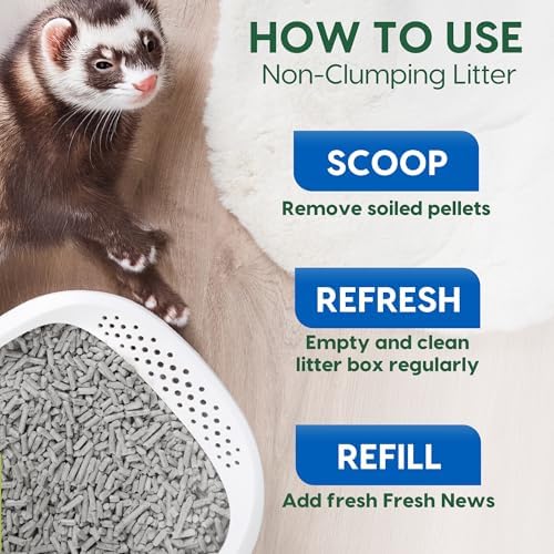 Fresh News Recycled Paper Small Animal Litter Bedding, 10 Liters, Packaging May Vary (Pack of 3)