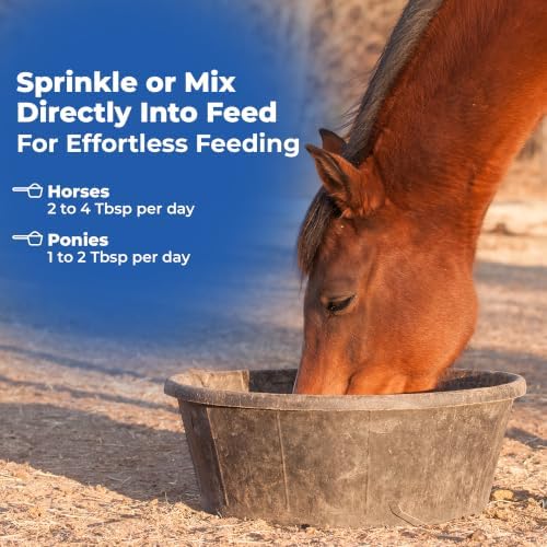 AniMed Biotin 100 Daily Horse Hoof Supplement & Equine Hair Growth Powder 2.5 lbs