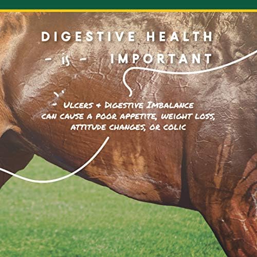 Corta-Flx U-Gard Pellets for Horses, Digestive Supplement, 10 lb Bucket