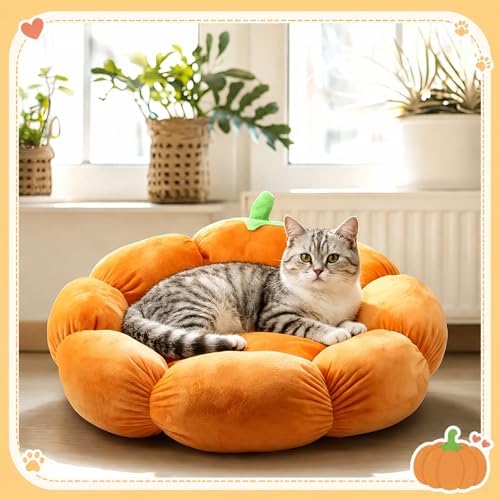 RattanView Cat Bed House Pet Cushion for Indoor Kitten Pet,Pumpkin