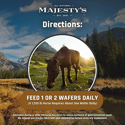 Majesty's BIO+ Biotin Wafers - Superior Horse/Equine Hoof and Coat Support Supplement - Copper, Zinc, Lysine, Methionine (2 Pack (120 Count Total))