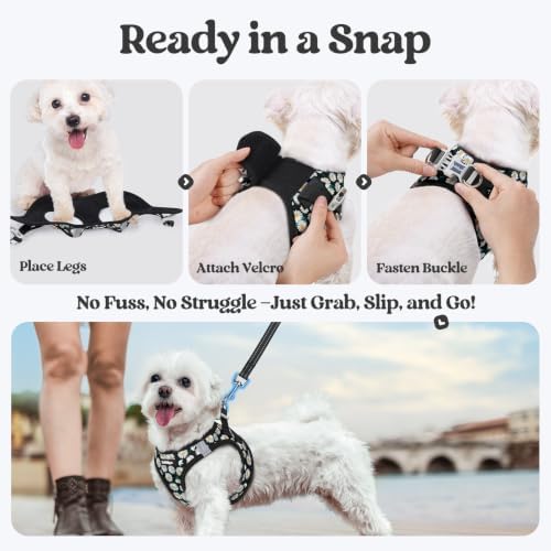 rabbitgoo Dog Harness Medium Sized and Leash Set, Step-in Puppy Pet Vest