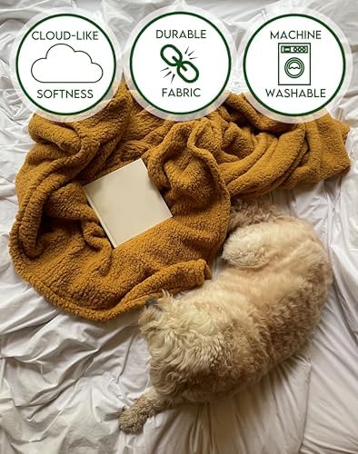 Brooklyn Loom Marshmallow Sherpa Dusty Rose Twin XL Blanket 100% Polyester Microfiber Plush, Solid Casual Themed, Adult Bedding, Oeko-TEX Certified