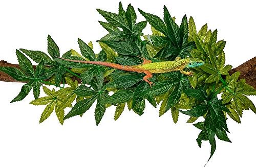 Reptile Plants Hanging Terrarium Plant Amphibian Habitat Decor