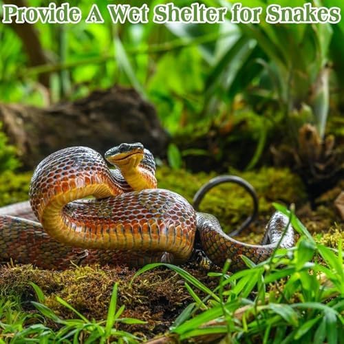 Sphagnum Moss for Reptiles, 1.1 lb Natural Terrarium Substrate Bedding