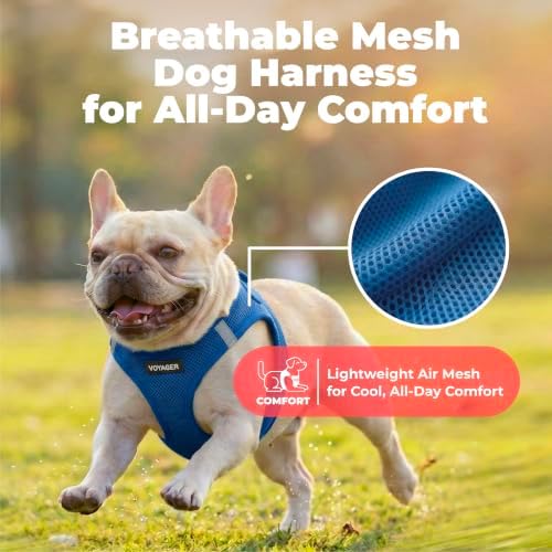 Voyager Step-in Air Dog Vest Harness - Royal Blue, XX-Small