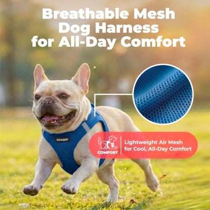 Voyager Step-in Air Dog Vest Harness - Royal Blue, XX-Small