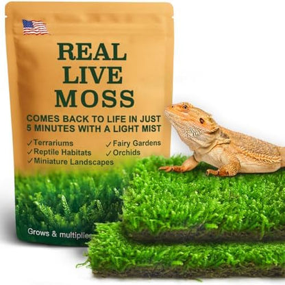 LUCKYRUNES Live Moss for Terrarium Bedding & Reptile Enclosures